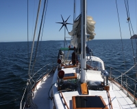 august_pearl