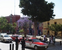 oaxaca_city