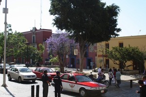 oaxaca_city 